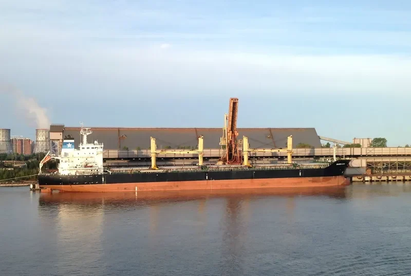 GLOBAL HARMONY Bulk Carrier IMO 9473573 photo 10