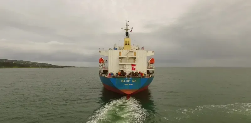 DALLY Bulk Carrier IMO 9473597