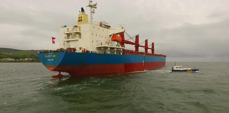DALLY Bulk Carrier IMO 9473597 photo 4