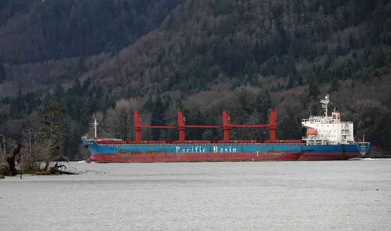 DALLY Bulk Carrier IMO 9473597 photo 10