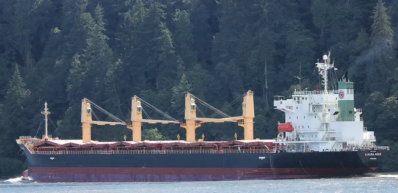 SAKURA KOBE Bulk Carrier IMO 9473688 photo 4