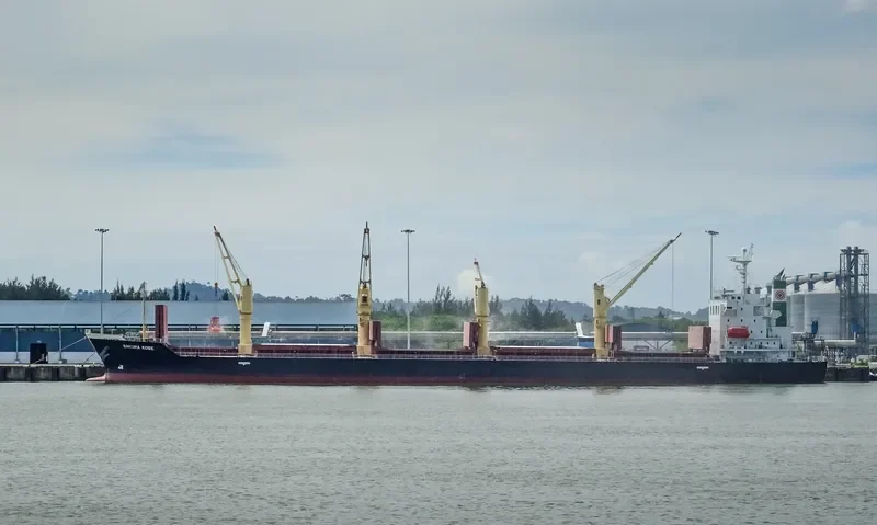 SAKURA KOBE Bulk Carrier IMO 9473688 photo 6