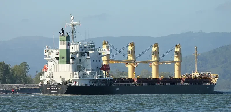 SAKURA KOBE Bulk Carrier IMO 9473688 photo 8