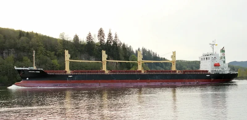 SAKURA KOBE Bulk Carrier IMO 9473688 photo 10