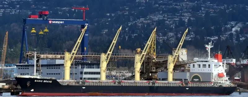 BASIC BRAVE Bulk Carrier IMO 9473690
