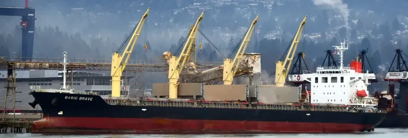 BASIC BRAVE Bulk Carrier IMO 9473690 photo 2