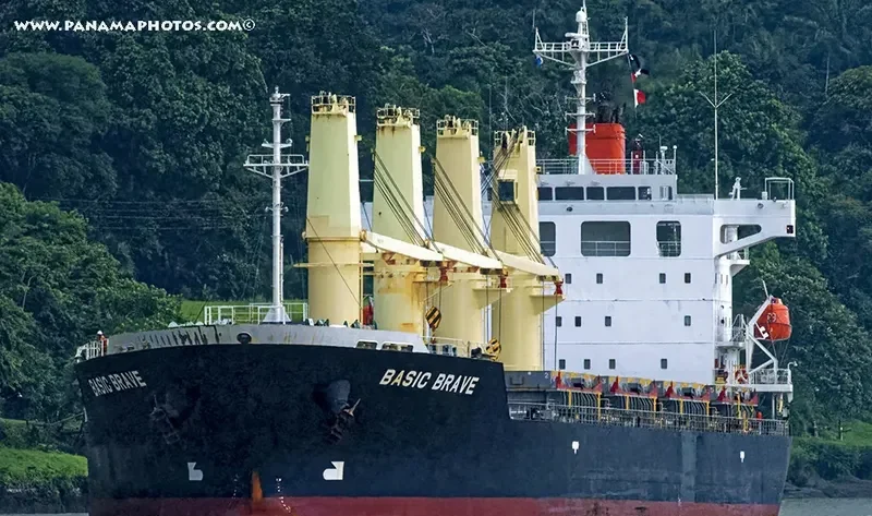 BASIC BRAVE Bulk Carrier IMO 9473690 photo 5