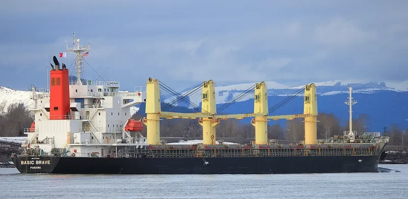 BASIC BRAVE Bulk Carrier IMO 9473690 photo 6
