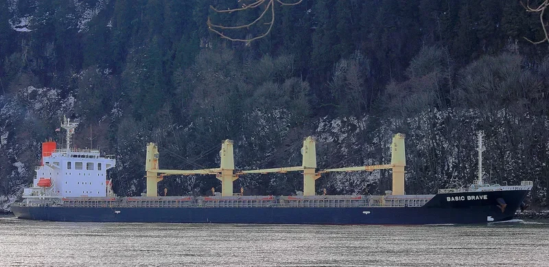 BASIC BRAVE Bulk Carrier IMO 9473690 photo 8