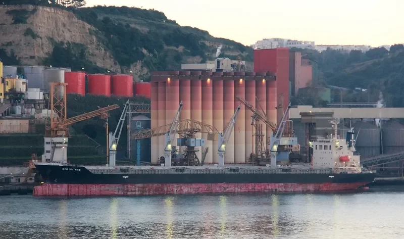 NEPTULUS Bulk Carrier IMO 9473705