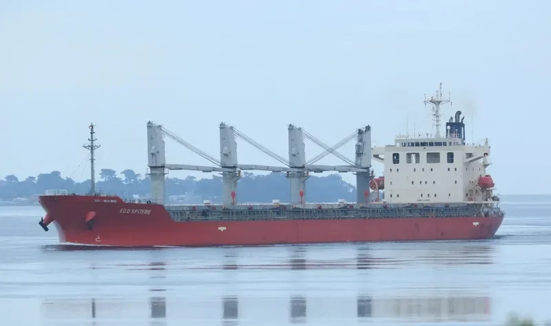 NEPTULUS Bulk Carrier IMO 9473705 photo 2