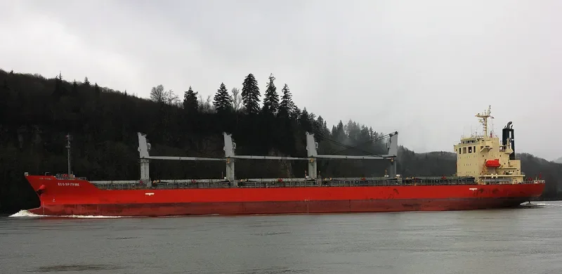 NEPTULUS Bulk Carrier IMO 9473705 photo 4