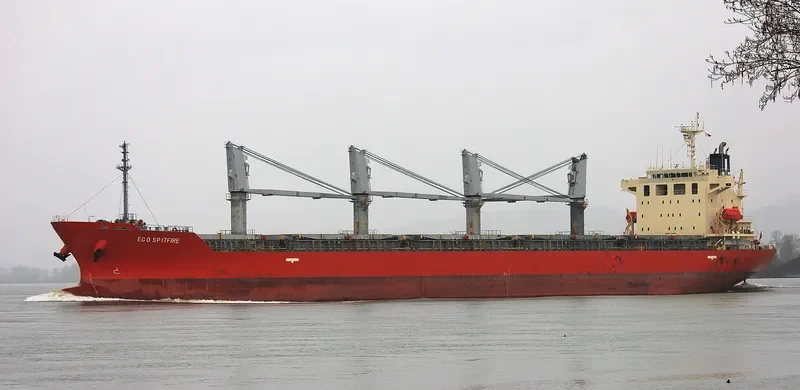 NEPTULUS Bulk Carrier IMO 9473705 photo 5