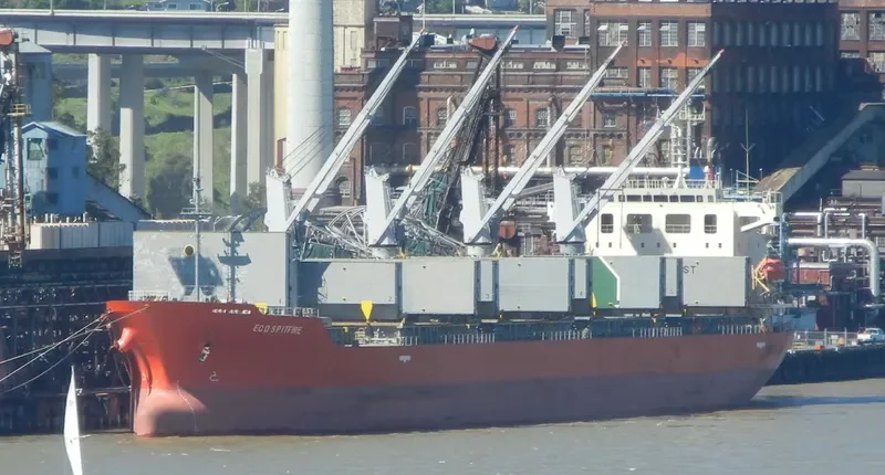 NEPTULUS Bulk Carrier IMO 9473705 photo 7