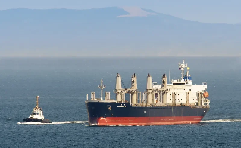 CORESHIP OL Bulk Carrier IMO 9473755 photo 5