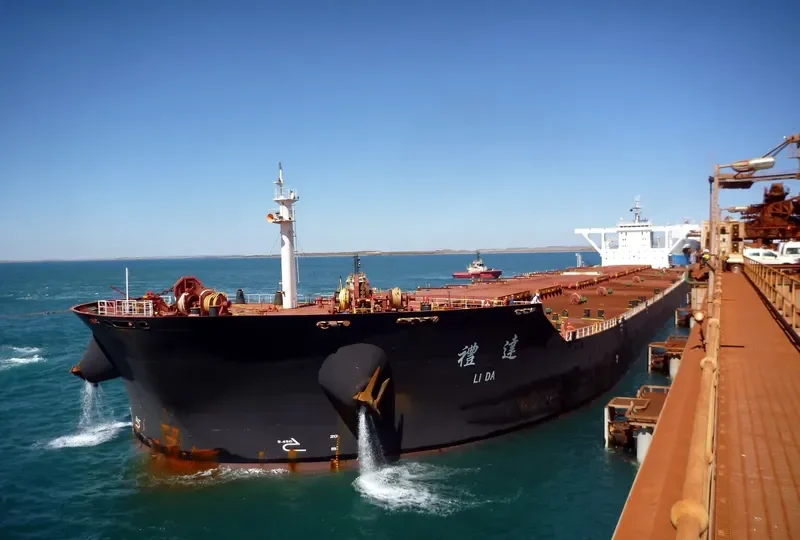 LI DA Bulk Carrier IMO 9474022