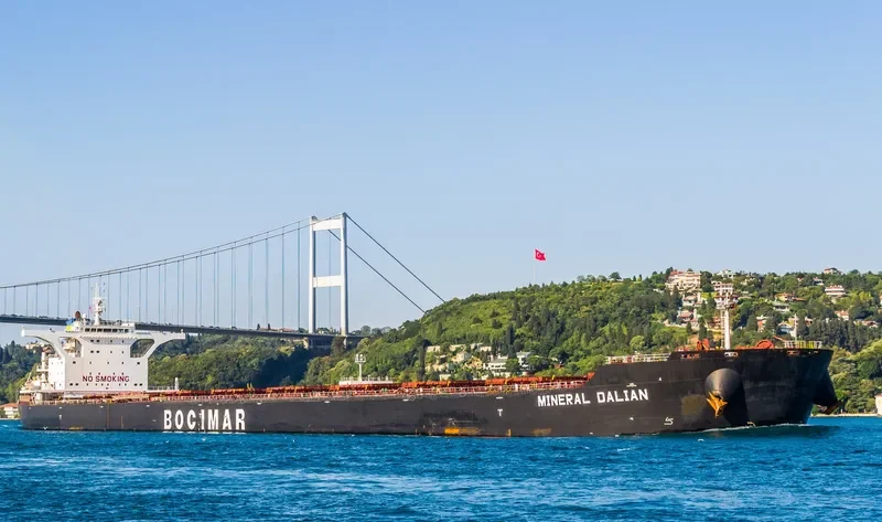 MINERAL SHOUGANG INTERNATIONAL Bulk Carrier IMO 9474137 photo 2