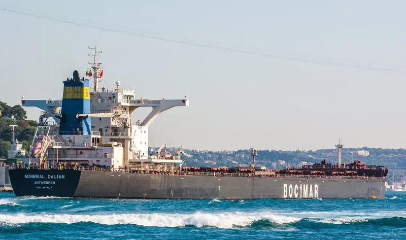 MINERAL SHOUGANG INTERNATIONAL Bulk Carrier IMO 9474137 photo 3