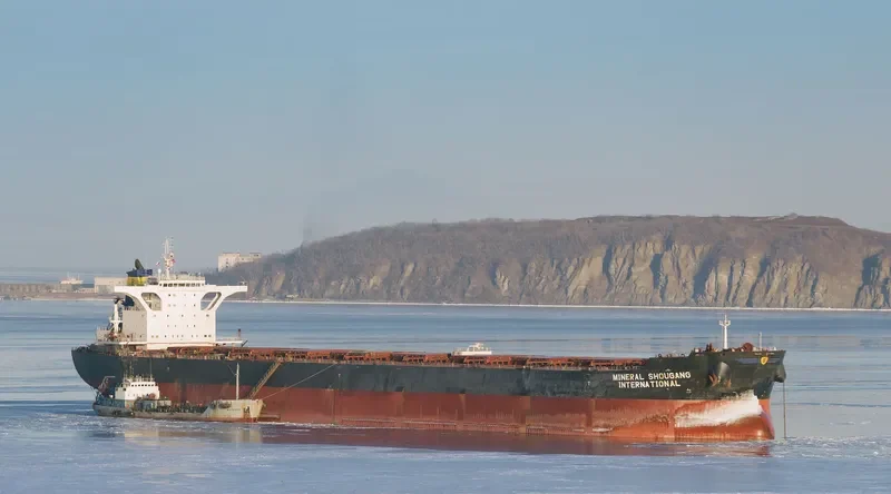 MINERAL SHOUGANG INTERNATIONAL Bulk Carrier IMO 9474137 photo 6