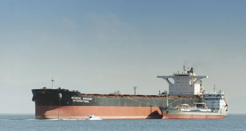 MINERAL SHOUGANG INTERNATIONAL Bulk Carrier IMO 9474137 photo 8