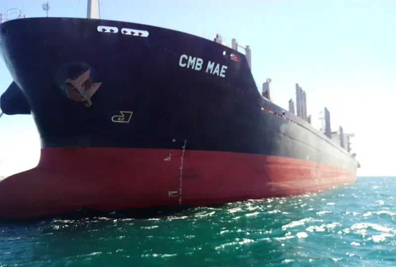 COYOTE Bulk Carrier IMO 9474216 photo 6