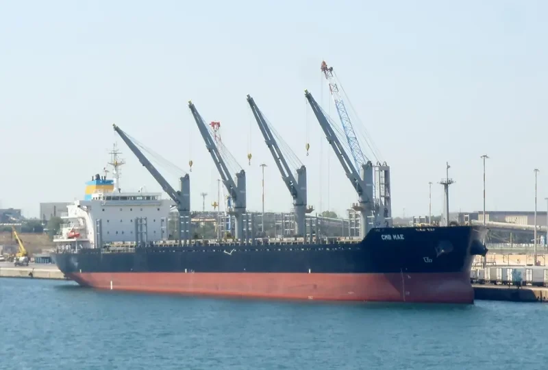 COYOTE Bulk Carrier IMO 9474216 photo 8