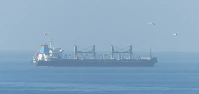 THOMAS SELMER Bulk Carrier IMO 9474242 photo 7