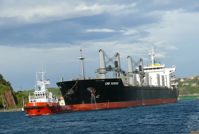 THOMAS SELMER Bulk Carrier IMO 9474242 photo 9