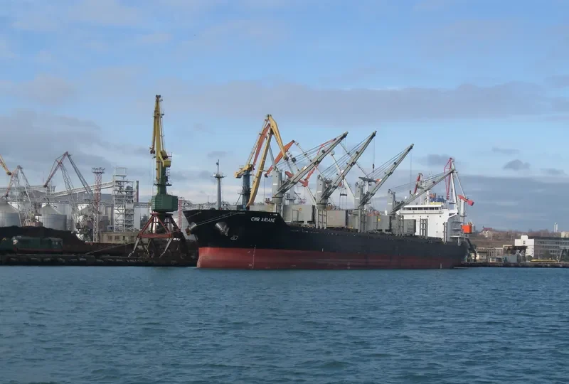 BIRTE SELMER Bulk Carrier IMO 9474254 photo 2