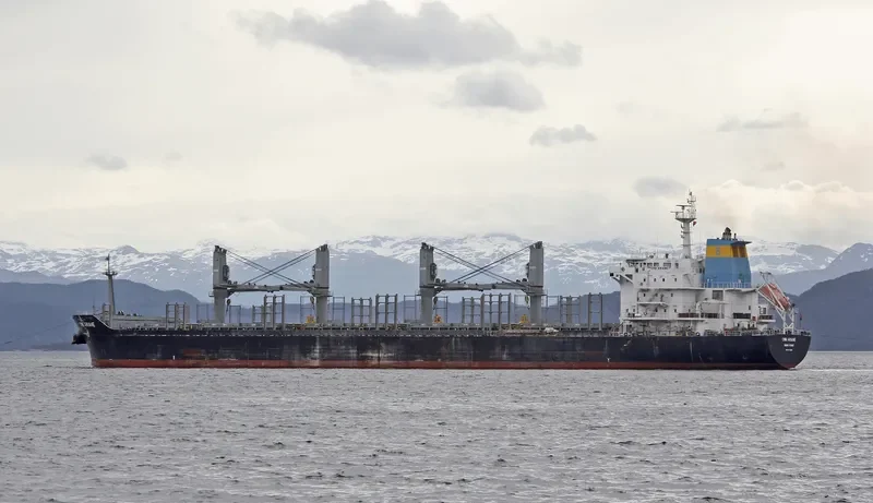 BIRTE SELMER Bulk Carrier IMO 9474254 photo 5