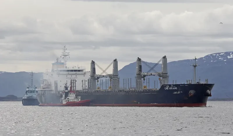BIRTE SELMER Bulk Carrier IMO 9474254 photo 6