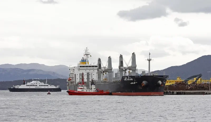 BIRTE SELMER Bulk Carrier IMO 9474254 photo 8