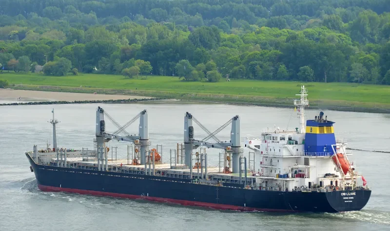 CAROLINE SELMER Bulk Carrier IMO 9474266 photo 4