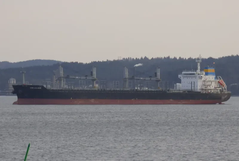 CAROLINE SELMER Bulk Carrier IMO 9474266 photo 8
