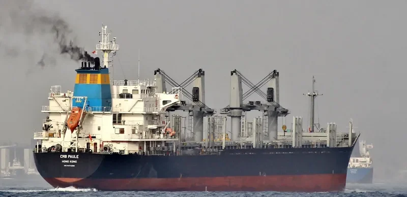 LENI SELMER Bulk Carrier IMO 9474280 photo 2