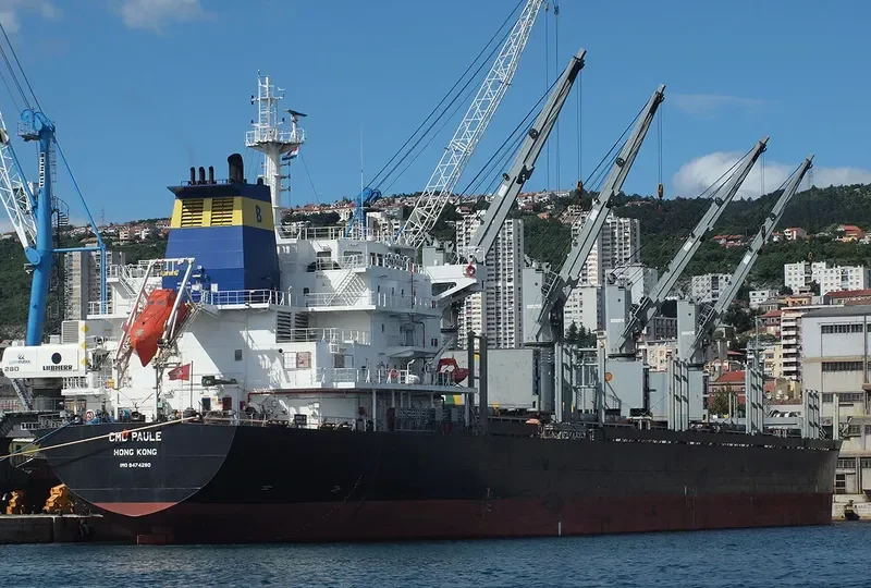 LENI SELMER Bulk Carrier IMO 9474280 photo 5