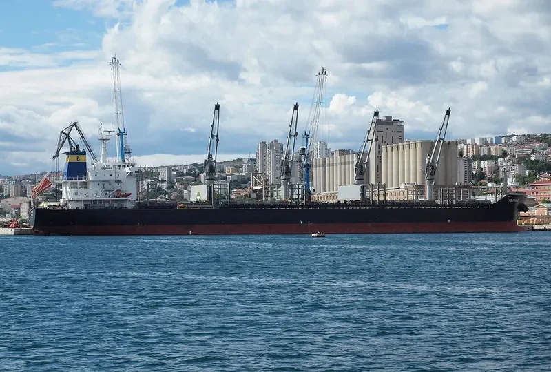 LENI SELMER Bulk Carrier IMO 9474280 photo 6