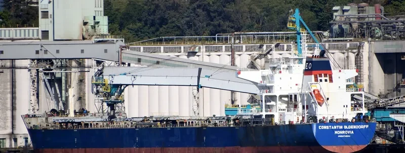 CONSTANTIN OLDENDORFF Bulk Carrier IMO 9474644 photo 4