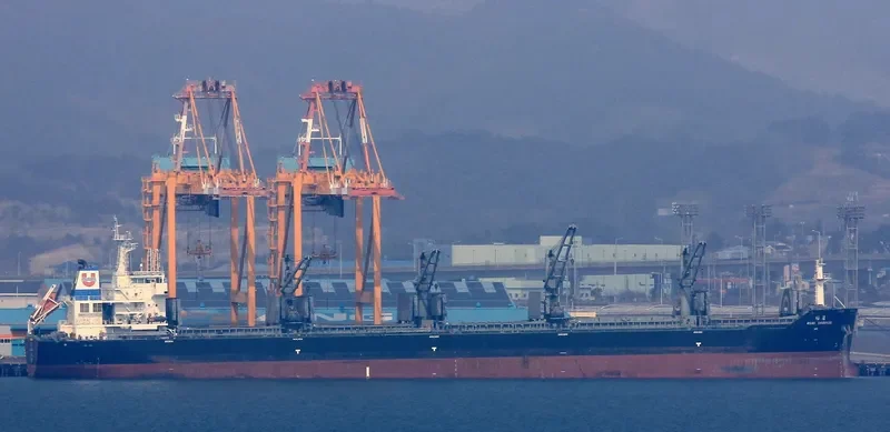ASIAN CHAMPION Bulk Carrier IMO 9474656