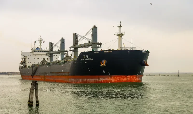 ASIAN CHAMPION Bulk Carrier IMO 9474656 photo 4