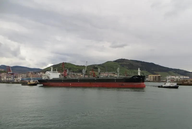 ASIAN CHAMPION Bulk Carrier IMO 9474656 photo 5