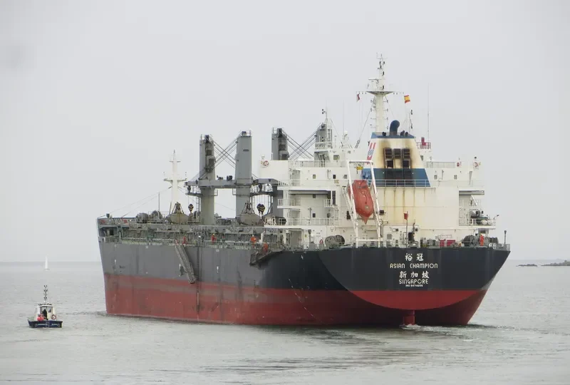 ASIAN CHAMPION Bulk Carrier IMO 9474656 photo 6