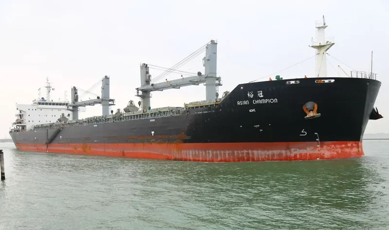 ASIAN CHAMPION Bulk Carrier IMO 9474656 photo 8