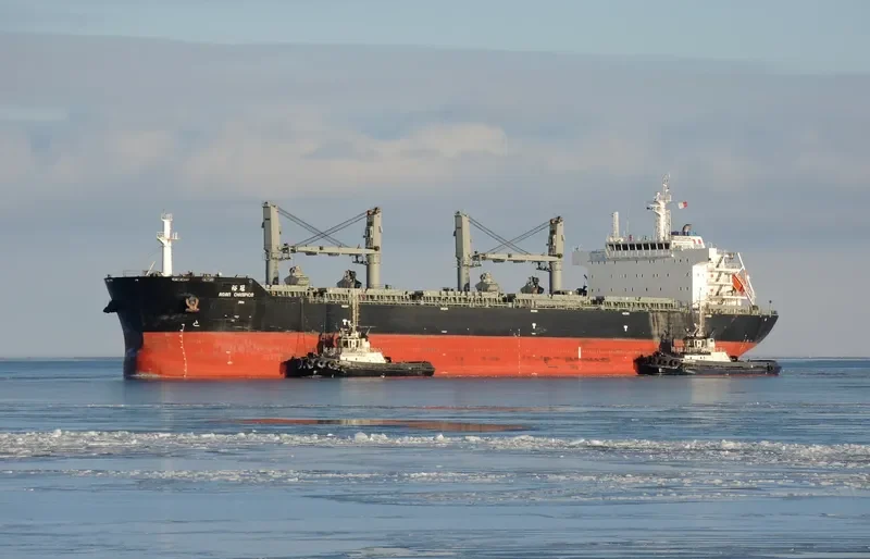 ASIAN CHAMPION Bulk Carrier IMO 9474656 photo 9