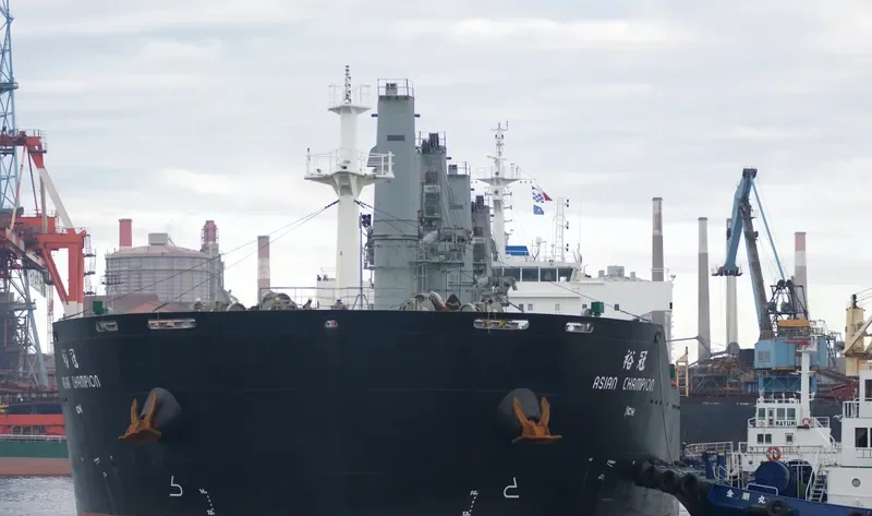 ASIAN CHAMPION Bulk Carrier IMO 9474656 photo 10
