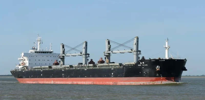 ASIAN TRIUMPH Bulk Carrier IMO 9474668 photo 3