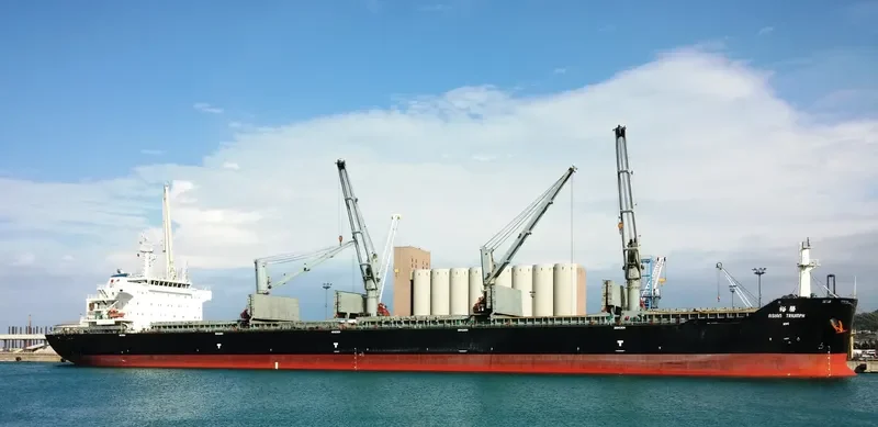 ASIAN TRIUMPH Bulk Carrier IMO 9474668 photo 5