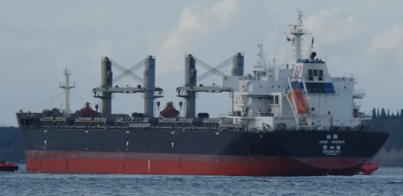 ASIAN TRIUMPH Bulk Carrier IMO 9474668 photo 7
