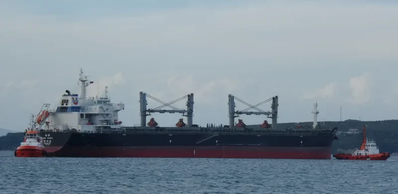 ASIAN TRIUMPH Bulk Carrier IMO 9474668 photo 9