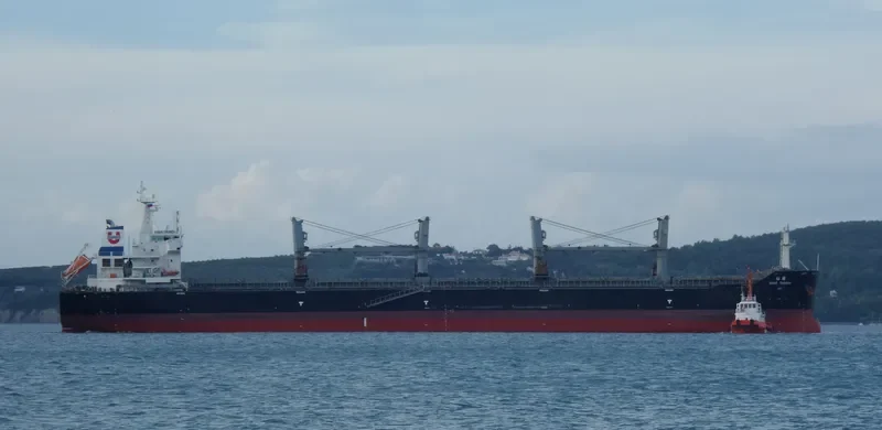 ASIAN TRIUMPH Bulk Carrier IMO 9474668 photo 10